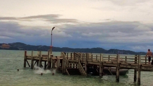 Image of beachlandsfeb15c.jpg