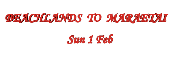 Image of beachlandstomaraetaifeb15.gif