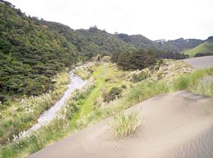 Image of bebethellssep07bcstream.jpg