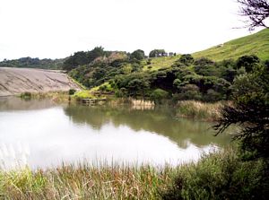 Image of bebethellssep07calake.jpg