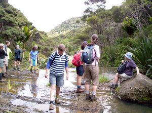 Image of bebethellssep07ddfalls.jpg