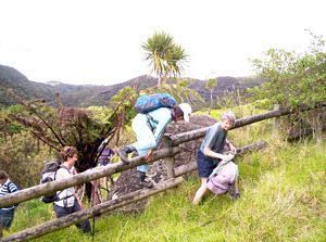 Image of bebethellssep07egfence.jpg