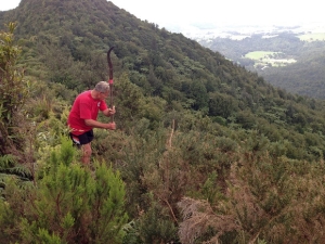 Image of beeapr16k.jpg