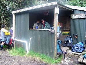 Image of bepureora07b.jpg