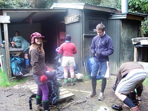 Image of bepureora07c.jpg