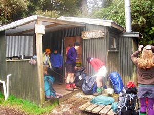 Image of bepureora07d.jpg