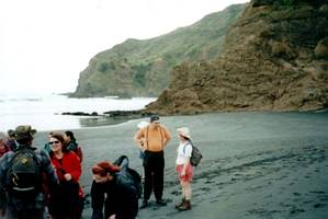 Image of bethells02beach.jpg