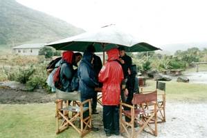 Image of bethells02brolly.jpg