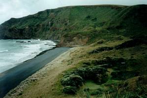 Image of bethells02oneillsbay.jpg
