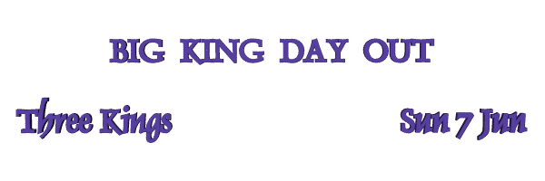 Image of bigkingdayout09.gif