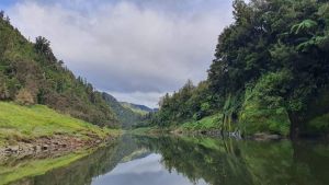 Image of birdgetonowheredaywalksapr23q.jpg