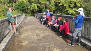 Image of birdgetonowheredaywalksapr23r.jpg