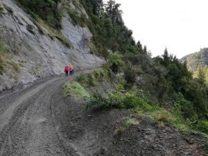 Image of birdgetonowherepackcarryapr23g.jpg