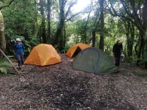 Image of birdgetonowherepackcarryapr23i.jpg