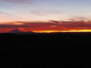 Image of birdgetonowherepackcarryapr23k.jpg