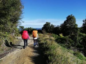 Image of birdgetonowherepackcarryapr23l.jpg