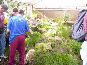 Image of birkenheadmay06csubalpinegarden.jpg