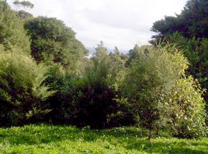 Image of birkenheadmay06qglimpseharbour.jpg