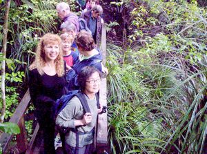 Image of birkenheadmay06rbridge1.jpg