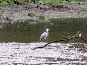 Image of blockhousebaysep16m.jpg