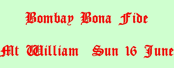 Image of bombaybonafide.jpg