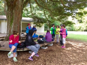 Image of botanicgardens16c.jpg