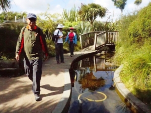 Image of botanicgardens16h.jpg