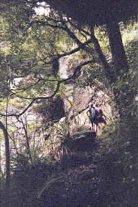 Image of breamheadapproachingtunnelq.jpg