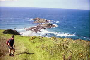 Image of breamheaddescentgrassq.jpg