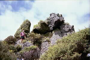 Image of breamheadsummitq.jpg