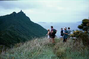 Image of breamheadvieweastq.jpg