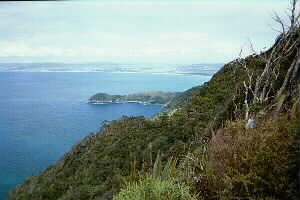 Image of breamheadviewwestq.jpg