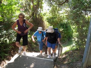 Image of brownsbaymar09actrack.jpg