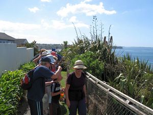 Image of brownsbaymar09betrack.jpg