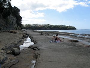 Image of brownsbaymar09depipeline.jpg