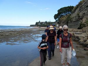 Image of brownsbaymar09dftrack.jpg