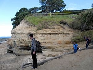 Image of brownsbaymar09gacoast.jpg