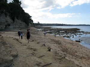 Image of brownsbaymar09gbcoast.jpg