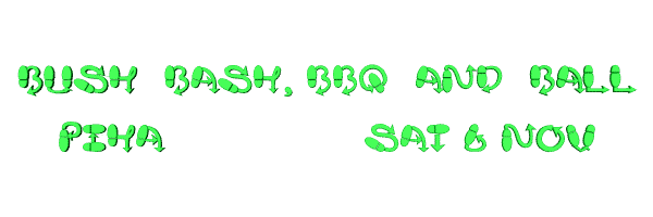 Image of bushbashandball04.gif