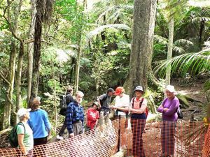 Image of cabawaruku07a.jpg