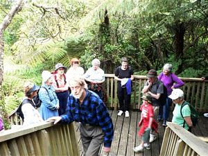 Image of cabawaruku07c.jpg