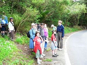 Image of cabawaruku07d.jpg