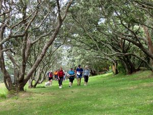 Image of campbellsbay09dftrack.jpg