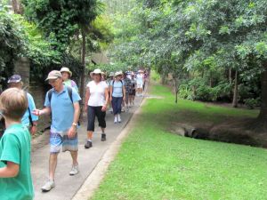 Image of campbellsbay11cereserve.jpg