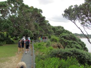 Image of campbellsbay11ectrack.jpg