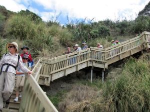 Image of campbellsbay11gdstairs.jpg