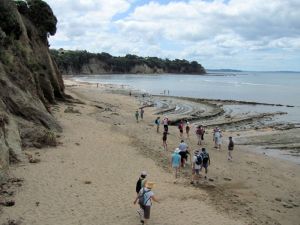 Image of campbellsbay11gfview.jpg