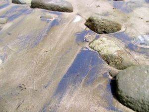 Image of campbellsbay11giblacksand.jpg