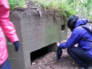 Image of campbellsbaysep18e.jpg