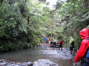 Image of cascadebethells09adstream.jpg
